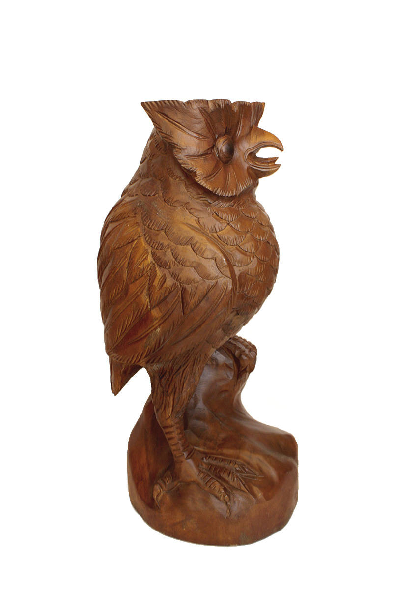sova-dřevěná